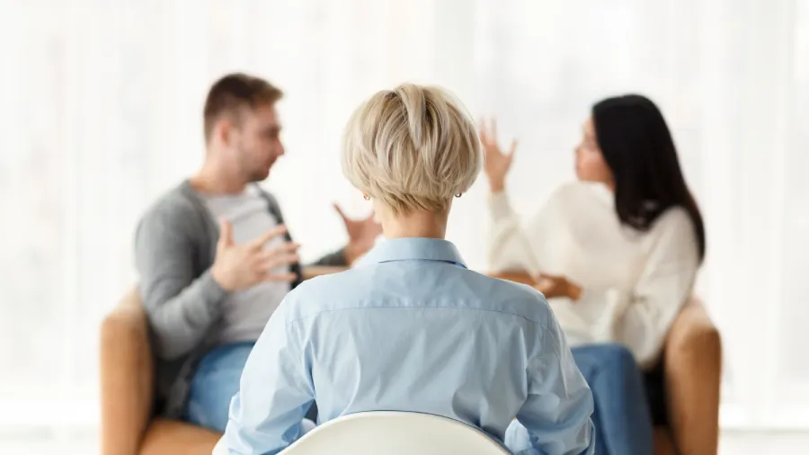 rguing Couple During Appointment In Office