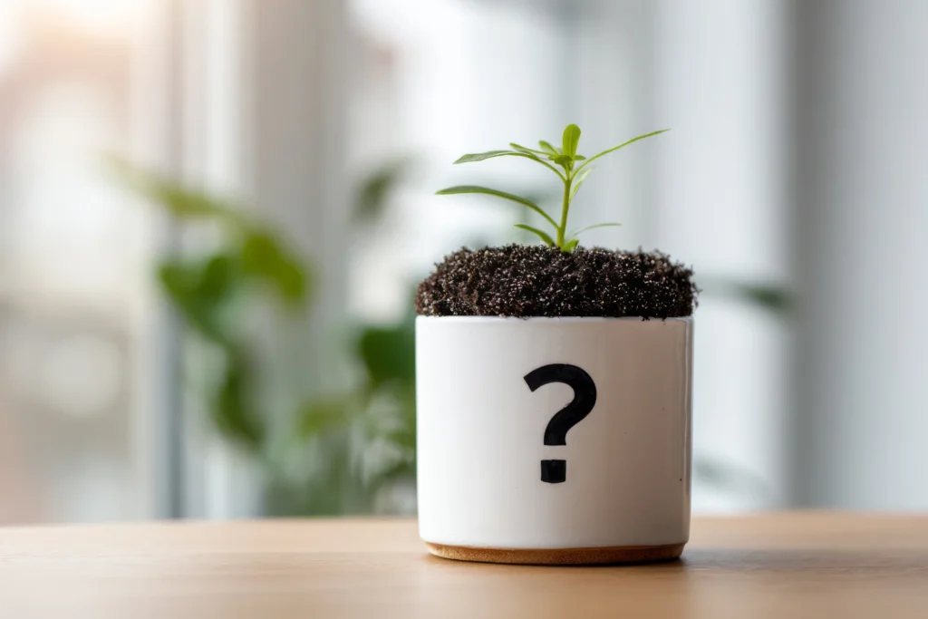 startup growth options