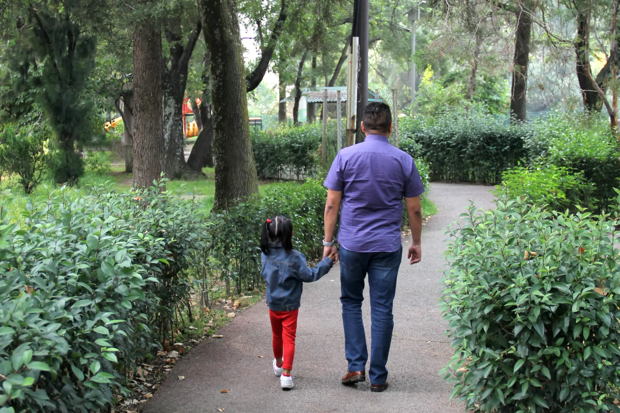 multicultural father and daughter walk hand in hand divorce case bilingual support concept